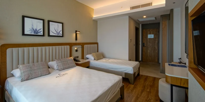 Standard Room with Land View