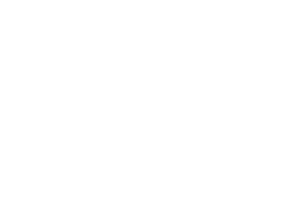 Aletris Deluxe Hotels Logo Light